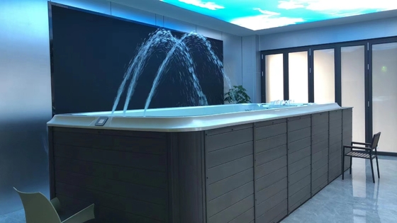 屋外プール スタンドリング 庭園用 5メートル 終わりのないプール スパ マッサージ機能の温水浴槽