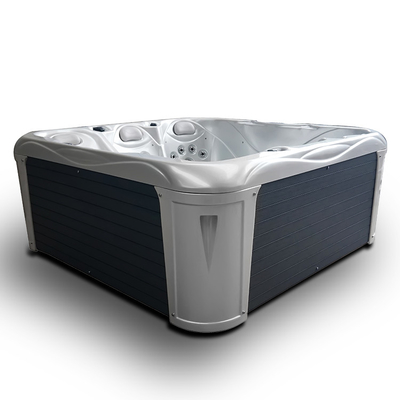 ドアの鉱泉の浴槽の温水浴槽からの220V 240V 50hz 60hzのアクリルのマッサージ