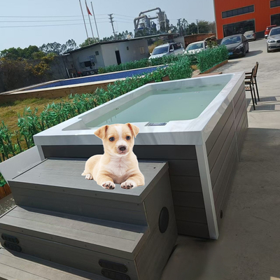 犬の水遊びのためのアクリルドッグペットプール
